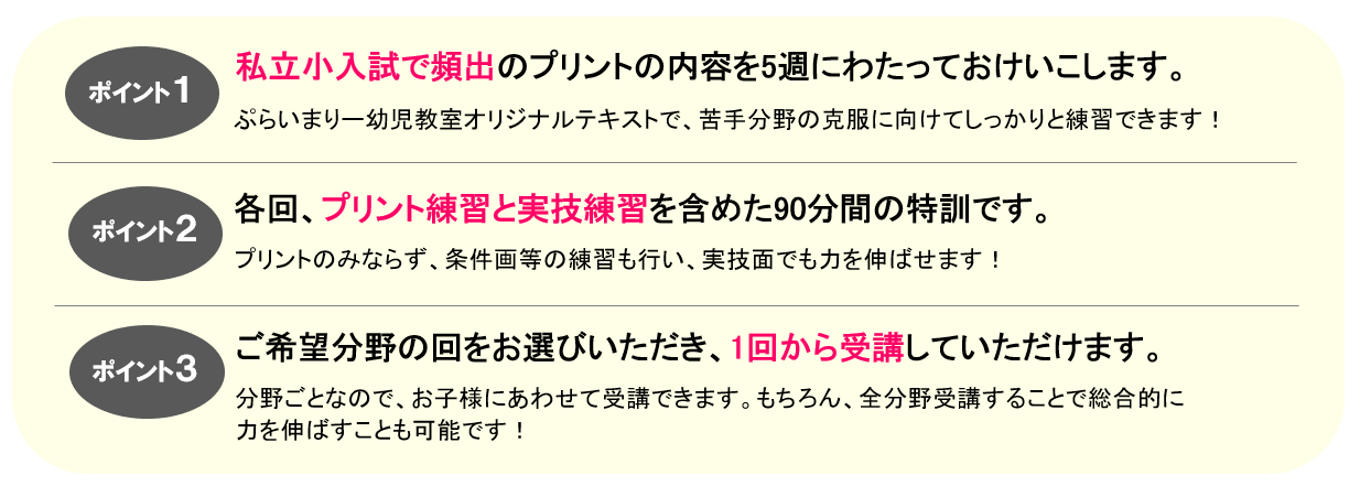 分野別プリント特訓とは